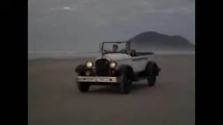 O homem do pau Brasil 1982
