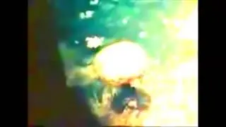 Hiroshima and Nagasaki (edit)