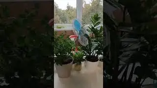 робот для окон