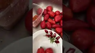 Десперадо отчаянный (гномы)