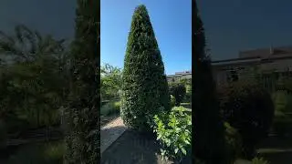 Наводим красоту)