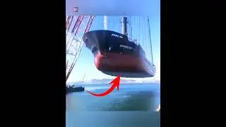 Never Swim In Front Of Ship |😲😲| 