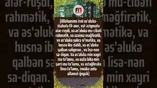 Bu kəlmələrdən xəzinə topla | Elnur Əliyev