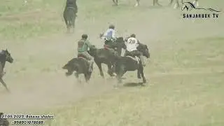 TOʻLIK POLVON REKLAMA QILIB TASHLADI. ASTANA QALʼASI 27.05.2023.