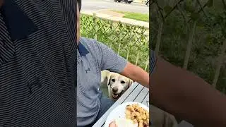 Maggie