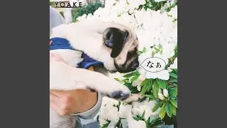 なぁ