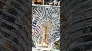 РАКИ В ШОКЕ. 1500гр.