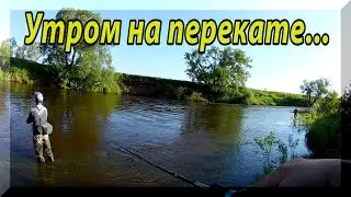 Как успешно ловить ГОЛАВЛЯ на запрессованном перекате. Голавль на спиннинг. Рыбалка с утреца.