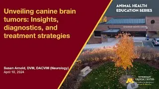 Unveiling canine brain tumors: Insights, diagnostics, and treatment strategies