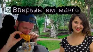 #4. Ночую в богатом районе Канкуна. Впервые в жизни ем манго в Мексике.