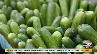 Cucumber recall: 27 sick in Pennsylvania after Salmonella outbreak