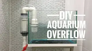 무타공 섬프수조 만들기 오버플로우 최종편 Diy Aquarium Overflow System