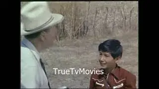 For the Love of Mike (1960)Richard Basehart Stuart Erwin Arthur Shields