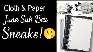 SNEAKS: Exclusive Sneak Peek From The June 2023 CLOTH and PAPER Sub Box