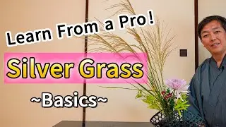Fall Vibes... Tips to Arrange Silver Grass