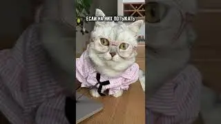 Сожру ноутбук/ тик ток приколы и смешное видео