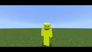 TopSMP Update