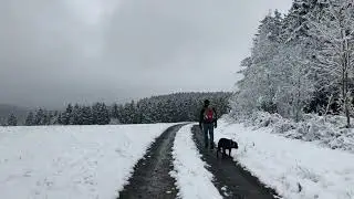 Es ist ein Schnee gefallen
