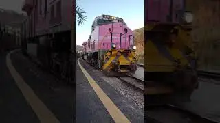 TREM ROSA TREM DE PASSAGEIROS / Trem Mineiro/ Trem da VALE / Pink Train
