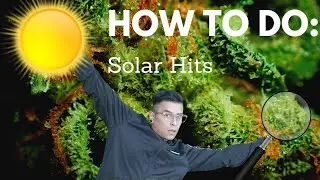 How To Take A Solar Hit Cannabis How To