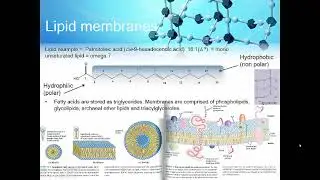 Lecture - Redox Reactions and Solubility PART1 (of 2)