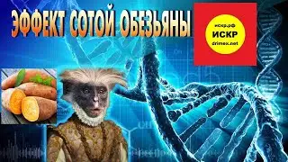 Эффект сотой обезьяны