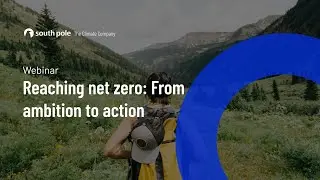 Reaching net zero: From ambition to action