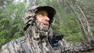 Rainy Day Turkey Hunt!