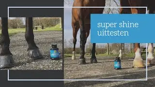 Super Shine voor op de hoeven uittesten
