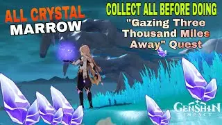 ALL CRYSTAL MARROW LOCATIONS |World Quest and Puzzle [Genshin Impact]