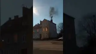 VID 20190217 172243