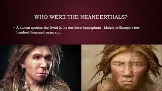World history part 2  - The first humans