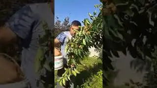 15 мая 2018 г.