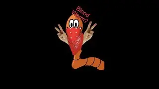 How to Feed Bloodworms  