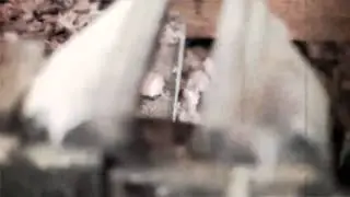 Edges of Seven new music teaser