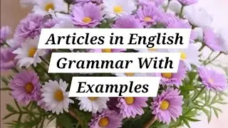 ARTICLES IN ENGLISH GRAMMAR WITH EXAMPLES A An and The 