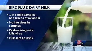 Doctor explains recent discovery of bird flu in dairy milk