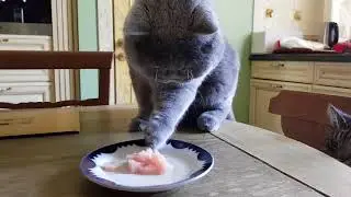 Интеллигентный британец🙂