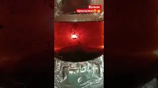 ЧАЙ, БУДЕШЬ? С ПЕЧЕНЬКАМИ🫖☕🍪