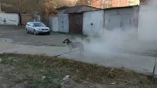 Сочитеплоэнерго. Дагомыс. 18 января 2020.