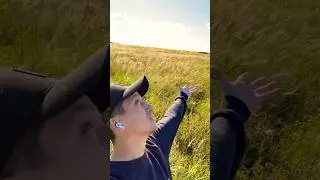 гой ты Русь моя родная… 🇷🇺