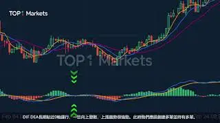 Top1 Markets - 如何使用MACD？