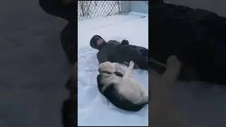 Алтай и Тамбов Гарден