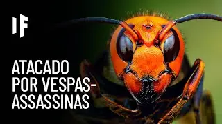 E se você fosse atacado por vespas assassinas?