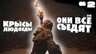 КРЫСЫ ЛЮДОЕДЫ • Plague Tale #2