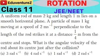 A uniform rod of mass 2 kg and length 1 m lies on a smooth horizontal plane. A particle of mass 1 kg
