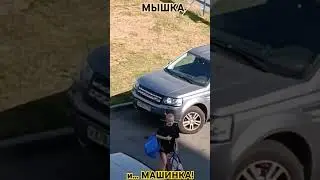 12 сентября 2024 г.
