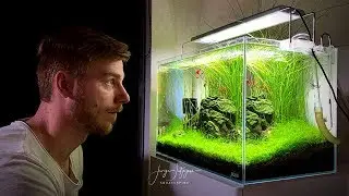 PLANTED AQUARIUM MISTAKES! Ep.01 
