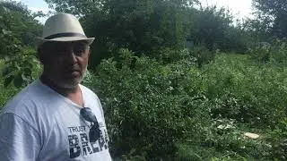 Отзыв о работе СпилКурск.ПРО