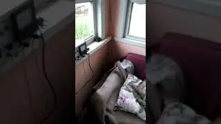 Здравствуй лето 2020!